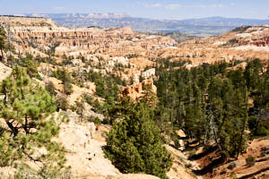 USA Bryce Canyon<br>NIKON D4, 35 mm, 125 ISO,  1/320 sec,  f : 8 